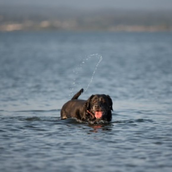 Pop up share shows! - Picture 10 of 15